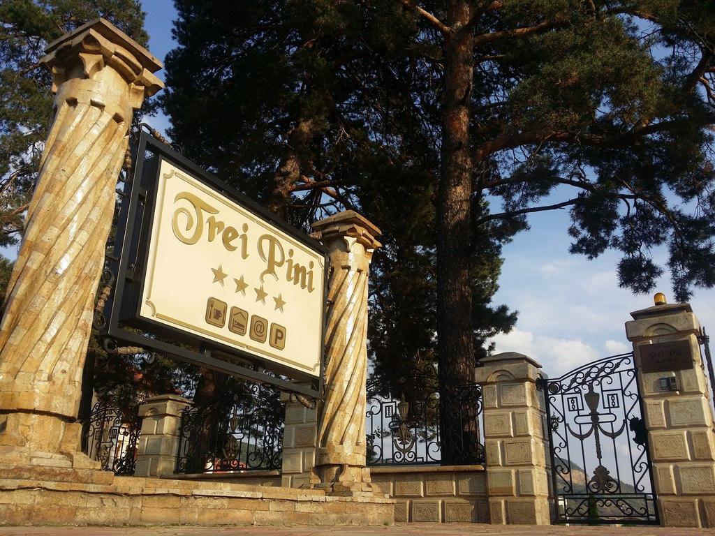 Pensiunea Trei Pini Seini Εξωτερικό φωτογραφία